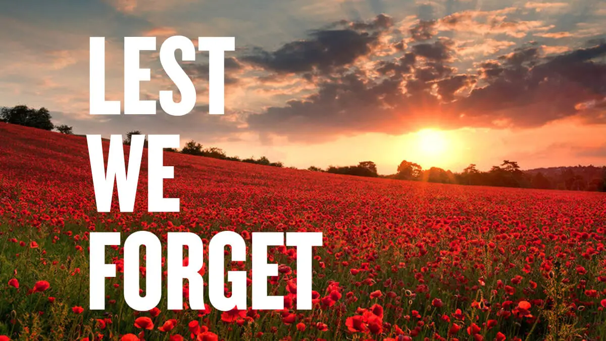 remembrance-day-lest-we-forget-the-poppy