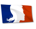 PCEE181_Viva_La_France_Flag